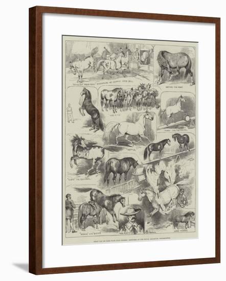 What Can Be Done with Wild Horses, Sketches at the Royal Aquarium, Westminster-Alfred Courbould-Framed Giclee Print