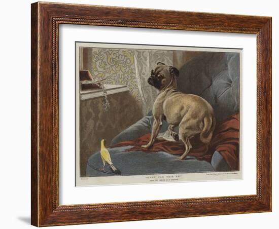 What Can This Be?-Carl Constantin Steffeck-Framed Giclee Print