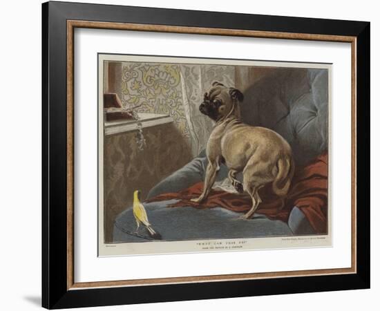 What Can This Be?-Carl Constantin Steffeck-Framed Giclee Print