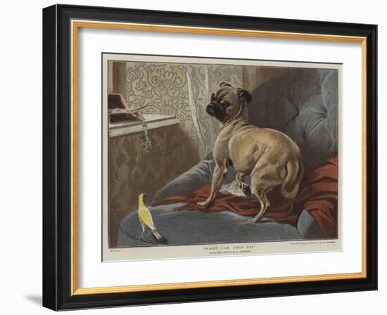 What Can This Be?-Carl Constantin Steffeck-Framed Giclee Print