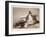What courage!-Francisco Jose de Goya y Lucientes-Framed Giclee Print