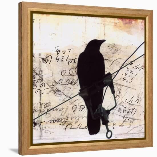 What Crows Reveal I-Ingrid Blixt-Framed Stretched Canvas