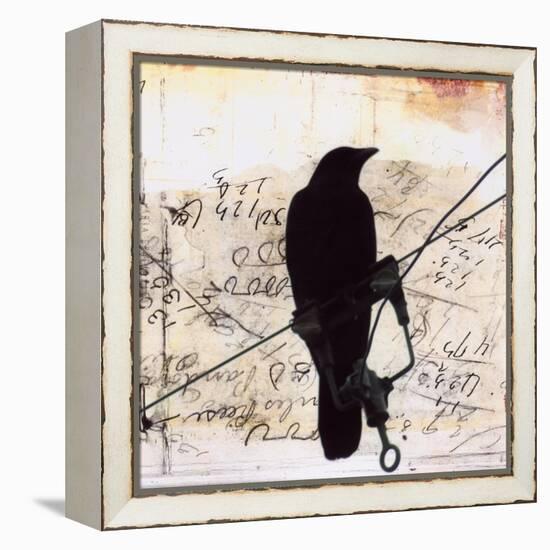 What Crows Reveal I-Ingrid Blixt-Framed Stretched Canvas