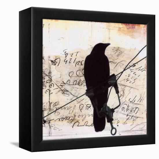What Crows Reveal I-Ingrid Blixt-Framed Stretched Canvas