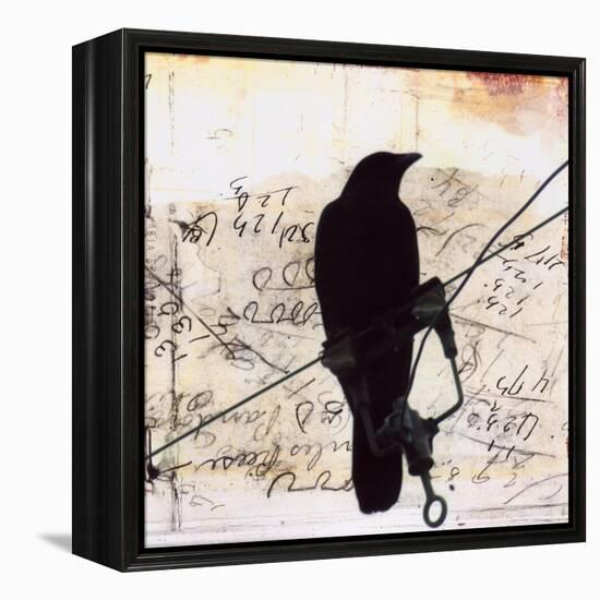 What Crows Reveal I-Ingrid Blixt-Framed Stretched Canvas