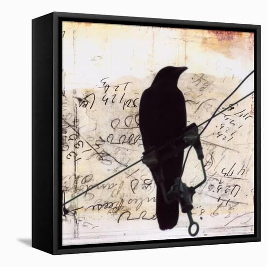 What Crows Reveal I-Ingrid Blixt-Framed Stretched Canvas