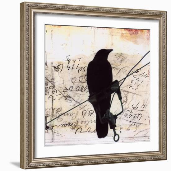 What Crows Reveal I-Ingrid Blixt-Framed Art Print