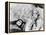 What Ever Happened to Baby Jane?, 1962-null-Framed Premier Image Canvas