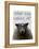 What Ewe Looking At-Fab Funky-Framed Stretched Canvas