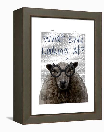 What Ewe Looking At-Fab Funky-Framed Stretched Canvas