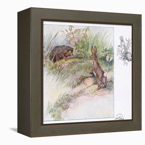 What Funny Things-Anne Anderson-Framed Premier Image Canvas