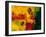 What is It Ma  1994-Bayo Iribhogbe-Framed Giclee Print