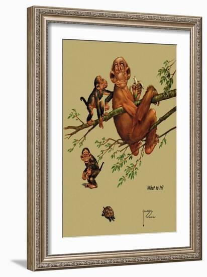 What is It?-Lawson Wood-Framed Art Print