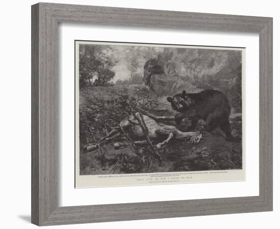 What Luck! Or, How I Killed My Bear-Alfred William Strutt-Framed Giclee Print