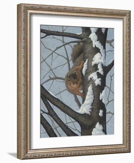 What's Going on - Fox Squirrel-Robert Wavra-Framed Giclee Print