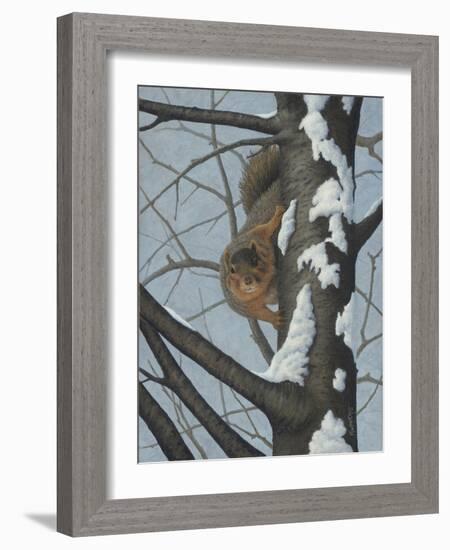 What's Going on - Fox Squirrel-Robert Wavra-Framed Giclee Print