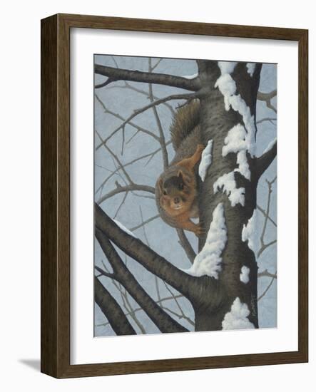 What's Going on - Fox Squirrel-Robert Wavra-Framed Giclee Print