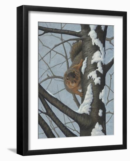 What's Going on - Fox Squirrel-Robert Wavra-Framed Giclee Print