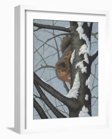 What's Going on - Fox Squirrel-Robert Wavra-Framed Giclee Print