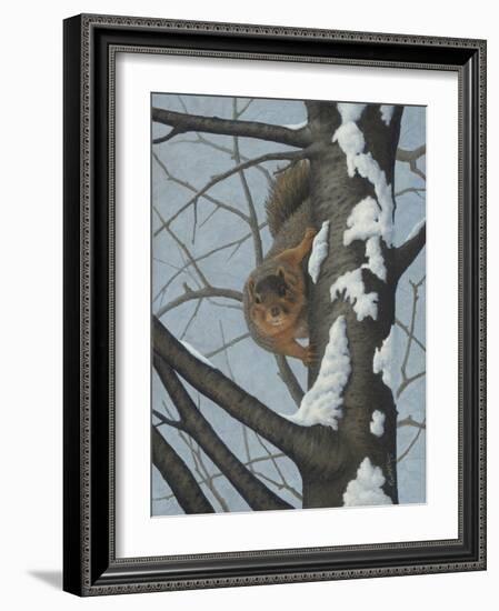 What's Going on - Fox Squirrel-Robert Wavra-Framed Giclee Print