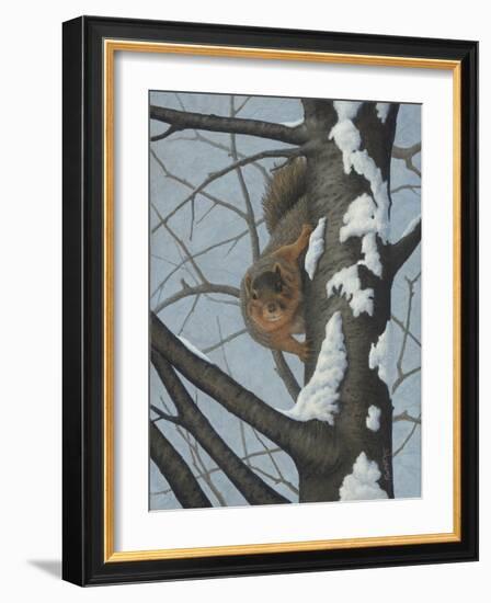 What's Going on - Fox Squirrel-Robert Wavra-Framed Giclee Print