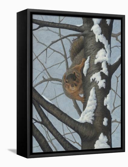 What's Going on - Fox Squirrel-Robert Wavra-Framed Premier Image Canvas