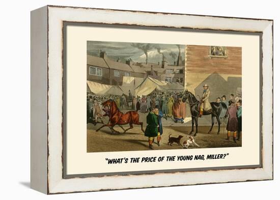 What's the Price of the Young Nag, Miller?-Henry Thomas Alken-Framed Stretched Canvas