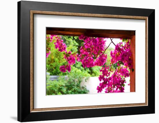 What the Heart Wants-Philippe Sainte-Laudy-Framed Photographic Print