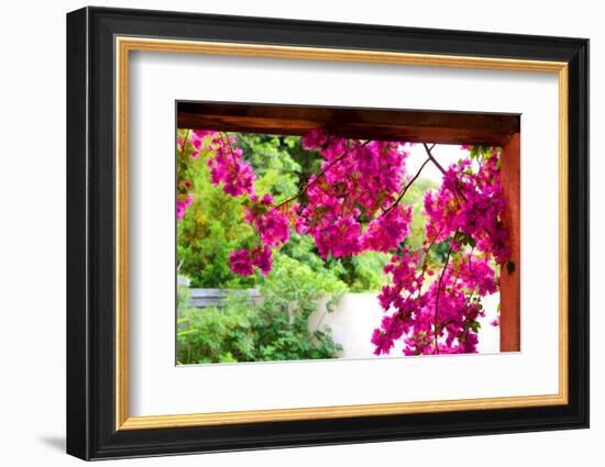 What the Heart Wants-Philippe Sainte-Laudy-Framed Photographic Print