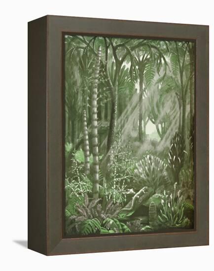 'What the Mighty Coal Forests Were Like', 1935-Unknown-Framed Premier Image Canvas