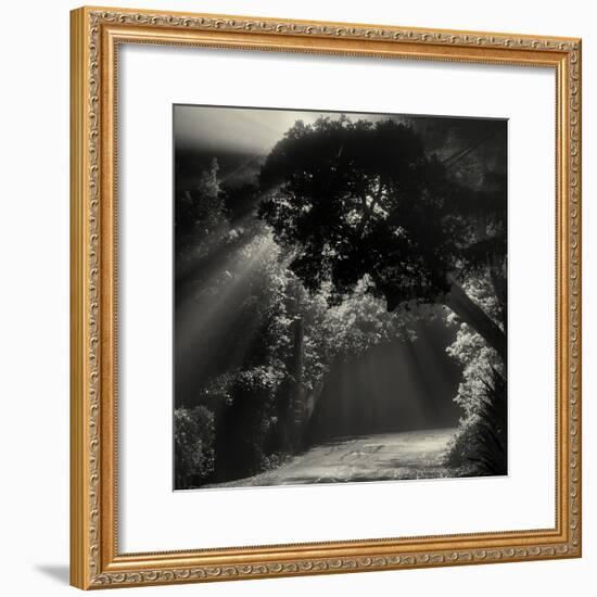 What We Say When We're Falling-Geoffrey Ansel Agrons-Framed Photographic Print