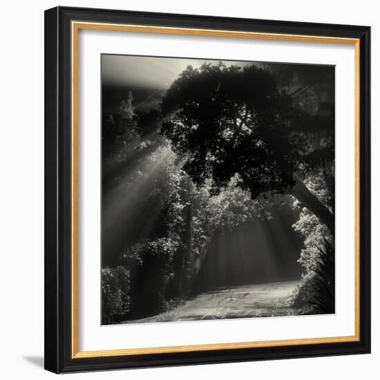 What We Say When We're Falling-Geoffrey Ansel Agrons-Framed Photographic Print