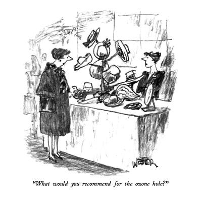 What would you recommend for the ozone hole? What would you recommend for the ozone hole?