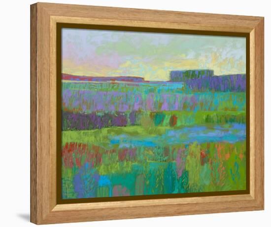 Whatever Suits You-Jane Schmidt-Framed Stretched Canvas