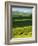 Wheat and Canola, Spokane County, Washington, USA-Charles Gurche-Framed Photographic Print