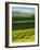 Wheat and Canola, Spokane County, Washington, USA-Charles Gurche-Framed Photographic Print