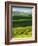 Wheat and Canola, Spokane County, Washington, USA-Charles Gurche-Framed Photographic Print