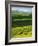 Wheat and Canola, Spokane County, Washington, USA-Charles Gurche-Framed Photographic Print