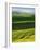 Wheat and Canola, Spokane County, Washington, USA-Charles Gurche-Framed Photographic Print