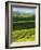 Wheat and Canola, Spokane County, Washington, USA-Charles Gurche-Framed Photographic Print