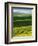 Wheat and Canola, Spokane County, Washington, USA-Charles Gurche-Framed Photographic Print