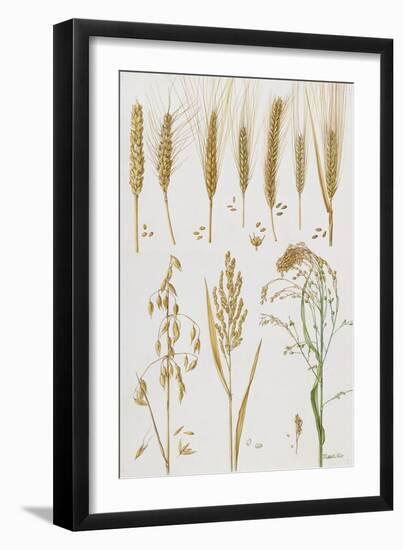 Wheat and Other Crops-Elizabeth Rice-Framed Giclee Print