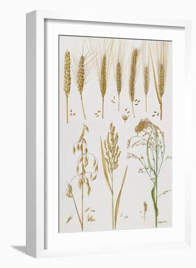 Wheat and Other Crops-Elizabeth Rice-Framed Giclee Print