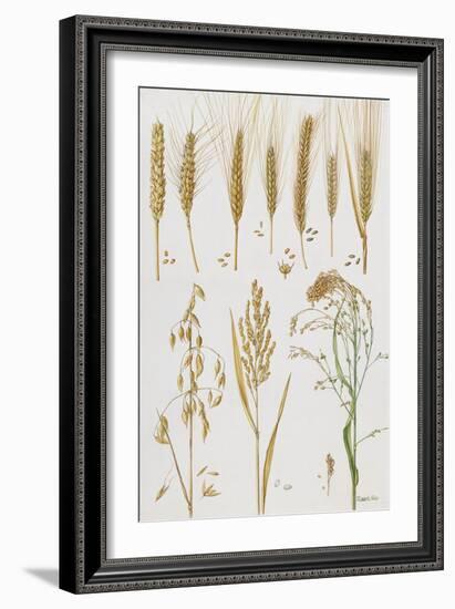 Wheat and Other Crops-Elizabeth Rice-Framed Giclee Print