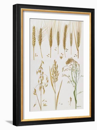 Wheat and Other Crops-Elizabeth Rice-Framed Giclee Print