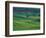 Wheat and Pea Fields Covering Rolling Hills-Darrell Gulin-Framed Photographic Print