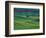 Wheat and Pea Fields Covering Rolling Hills-Darrell Gulin-Framed Photographic Print