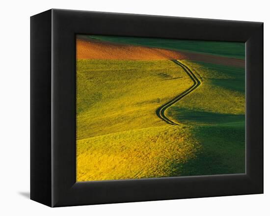 Wheat and Pea Fields-Darrell Gulin-Framed Premier Image Canvas