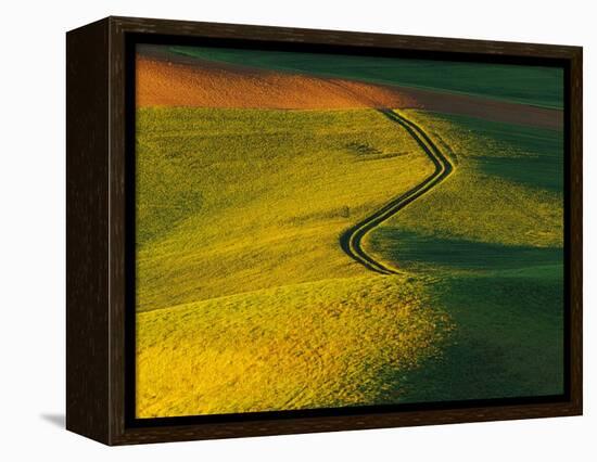 Wheat and Pea Fields-Darrell Gulin-Framed Premier Image Canvas