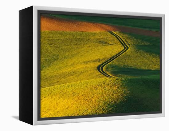 Wheat and Pea Fields-Darrell Gulin-Framed Premier Image Canvas